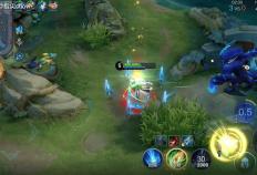 出场率登顶，诸葛亮才是版本黑马吗？中路和打野怎么选？