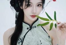 KPL官方解说的解说小鹿，身材还是很顶的，旗袍太适合她了！