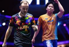 蒙彼利埃赛：张本让二追三遭绝杀！