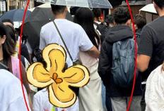 天呐！乔欣这波操作太秀了，500亿豪门？秘密结婚？这是要上天！