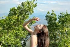 张家界门票2025门票多少錢(qián)？2025门票价格預(yù)測(cè)+购买指南，提前收藏(cáng)！