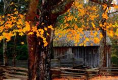 英雄联盟全球总决赛冠亚军决赛四川打响