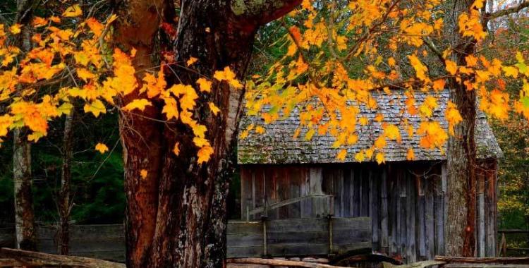 英雄联盟全球总决赛冠亚军决赛四川打响