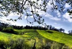 英(yīng)雄联盟四(sì)川总决赛全球顶尖战队对决