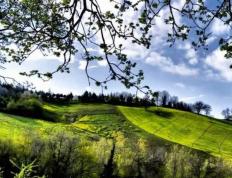 英(yīng)雄联盟四(sì)川总决赛全球顶尖战队对决