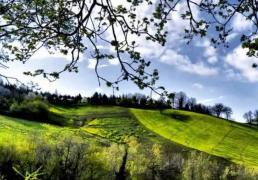 英(yīng)雄联盟四(sì)川总决赛全球顶尖战队对决