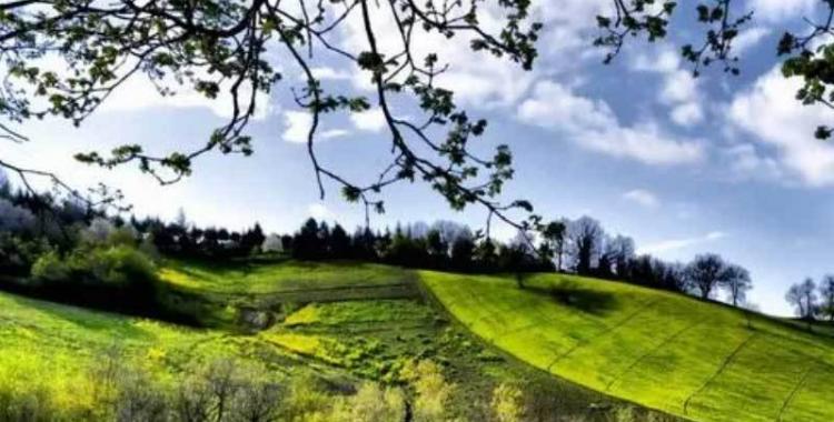 英(yīng)雄联盟四(sì)川总决赛全球顶尖战队对决