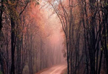 “浴(yù)火淬炼”青訓(xùn)营 打造青年干警练兵场