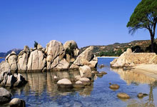 北京市通州区张家湾车辆段综合利用供地项目4～8#楼、13#楼、14#楼公区装修改造工程 交易项目编号：S110000P001026318