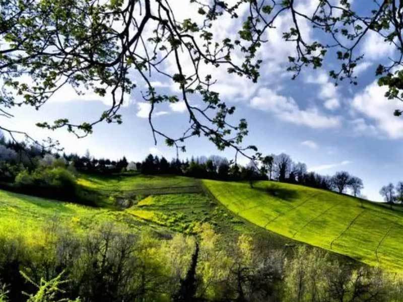 英(yīng)雄联盟四(sì)川总决赛全球顶尖战队对决