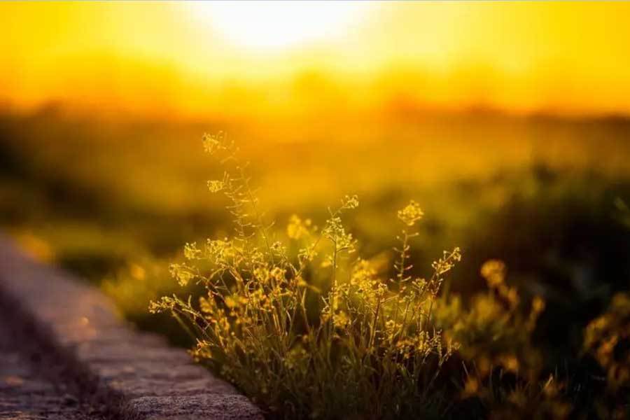 英(yīng)雄联盟四(sì)川总决赛全球顶尖战队对决